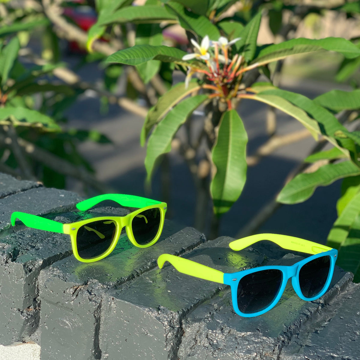 Neon Sunglasses – FIVE&KNUX